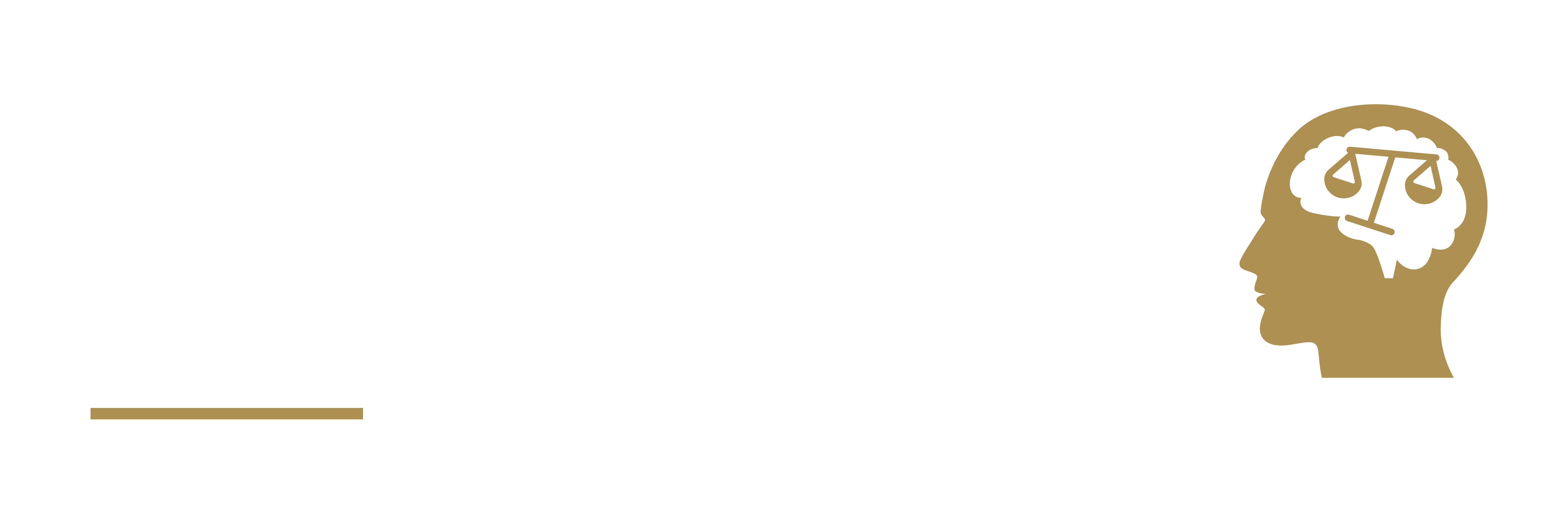 Innovative CLE Solutions