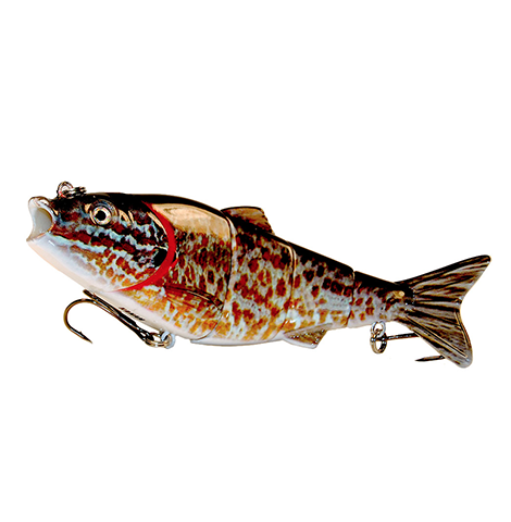 Swimbaits