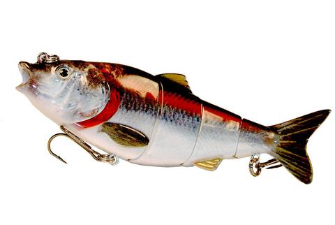 Aqua Relic Fatty - Threadfin Shad Swimbait