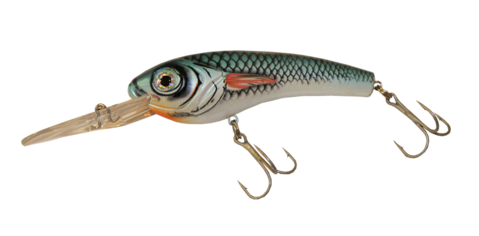 Alosa Major - Blueback Shad Crankbait