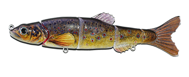 Aqua Relic Minnow - Brook Trout Swimbait