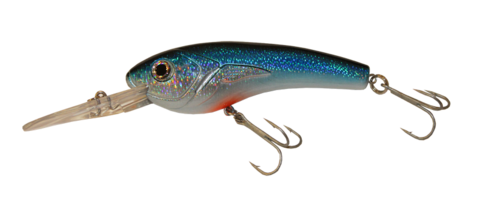 Alosa Major - Disco Blue Crankbait