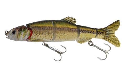 Aqua Relic Monster - Ironcolor Shiner Swimbait