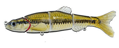 Aqua Relic Minnow - Ironcolor Shiner Swimbait