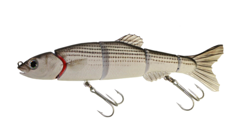 Aqua Relic Monster - Mullet Swimbait
