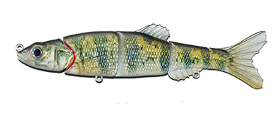Aqua Relic Minnow Perch Swimbait