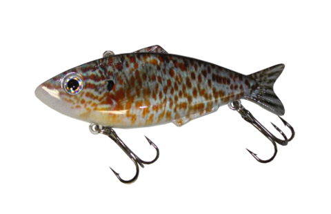 Dante VIB - Pumpkinseed Crankbait