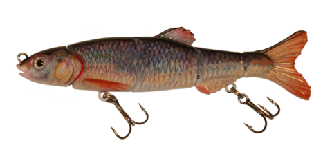 Aqua Relic Minnow - Golden Shiner Swimbait