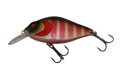 Alosa Minion - Rouge Craw Crankbait