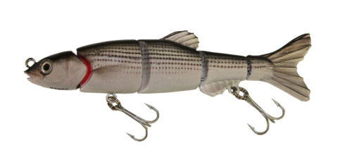 Aqua relic minnow mullet swimbait