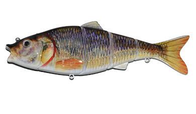 Aqua Relic Fatty - Golden Shiner Swimbait