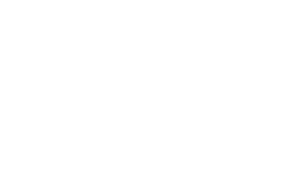 the company logo